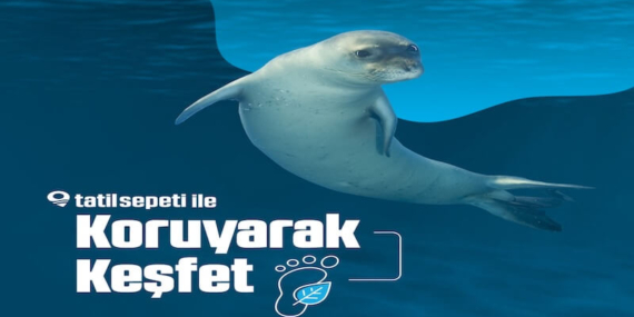 Tatilde Doğayı Koruyarak Keşfedin